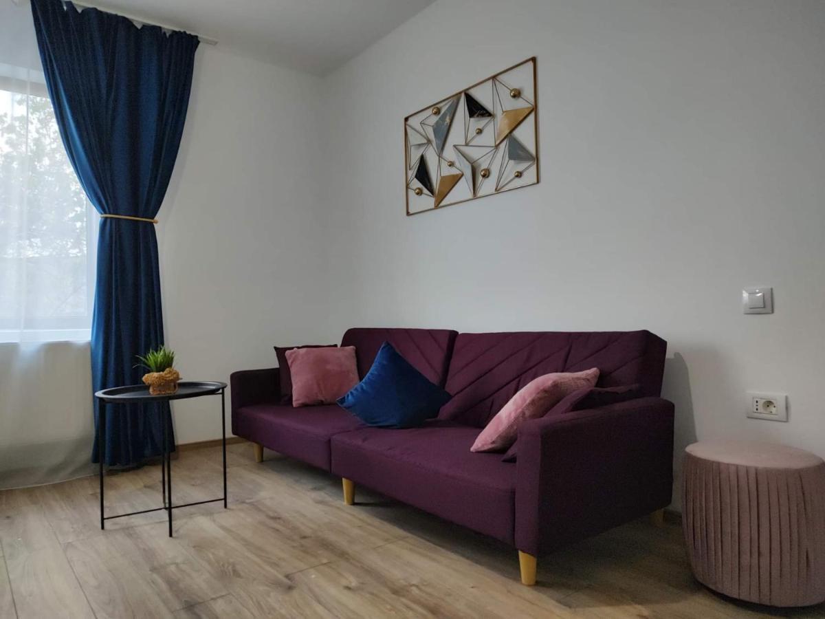 Dania&Petru Residence ตือร์กูออกนา ภายนอก รูปภาพ